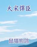 大宋悍臣