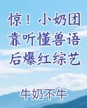 小奶团穿回来了是什么小说